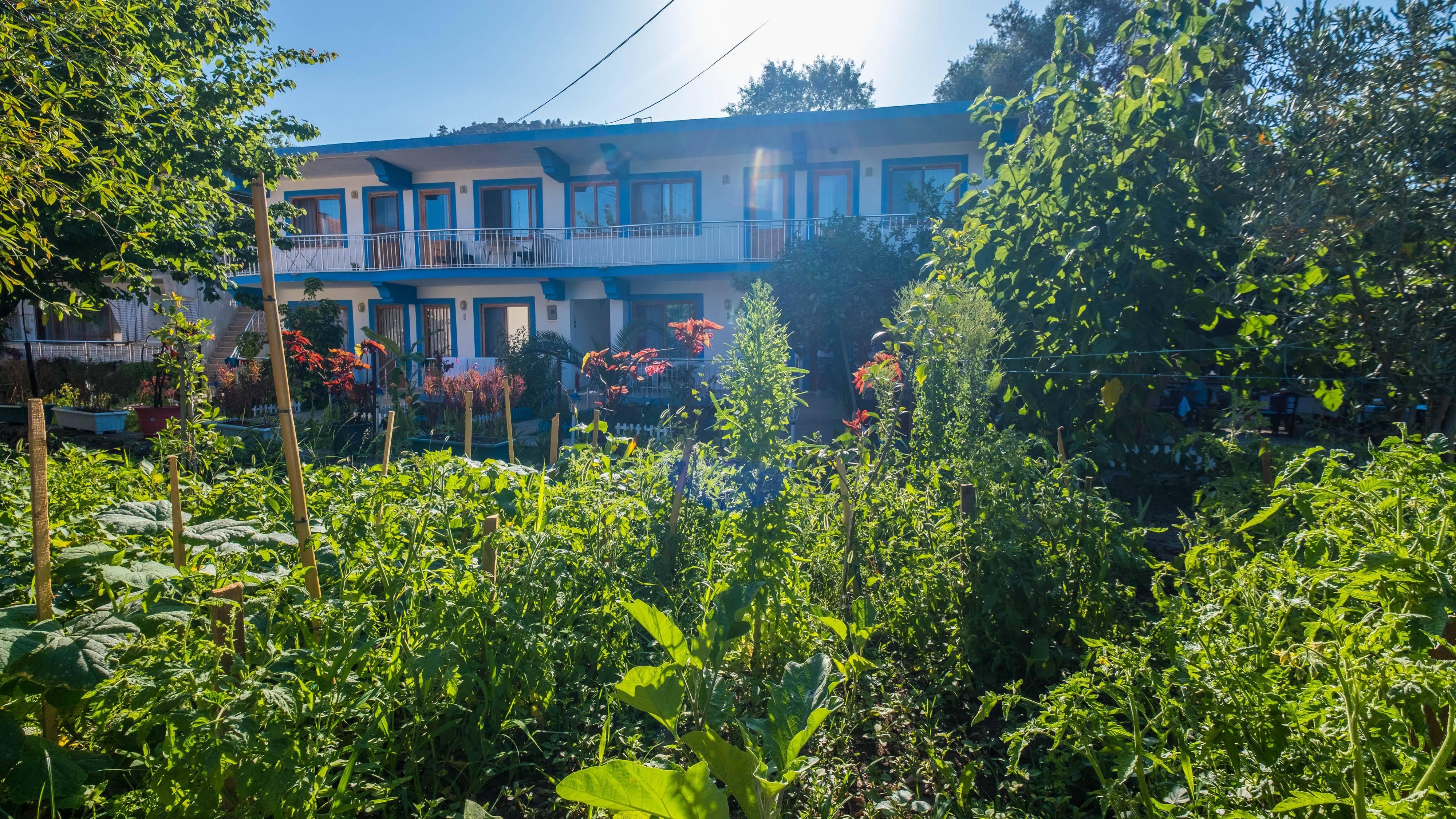 Balalayka Butik Otel Mugla Exteriér fotografie